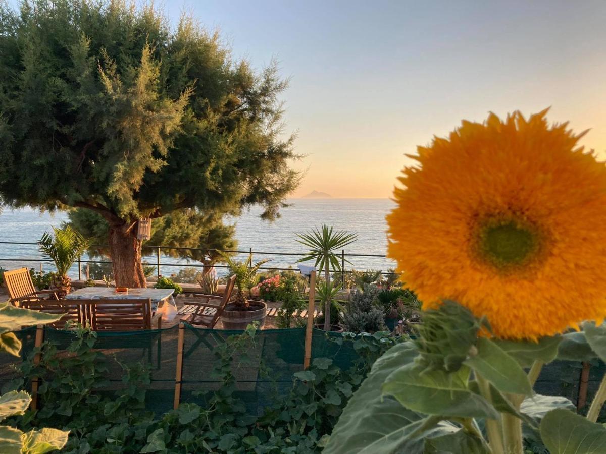 Korali House Villa Kalamaki  Bagian luar foto