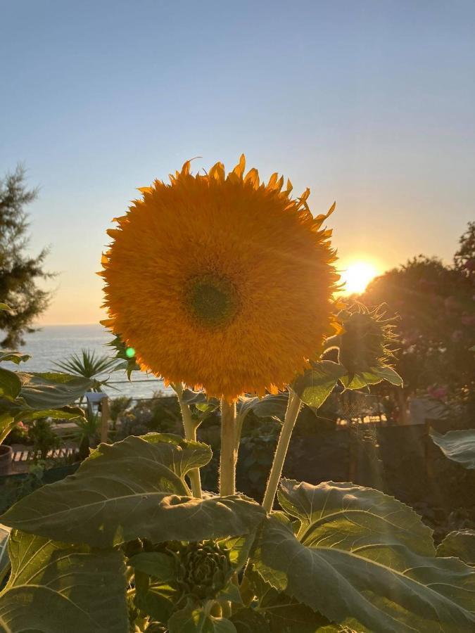 Korali House Villa Kalamaki  Bagian luar foto