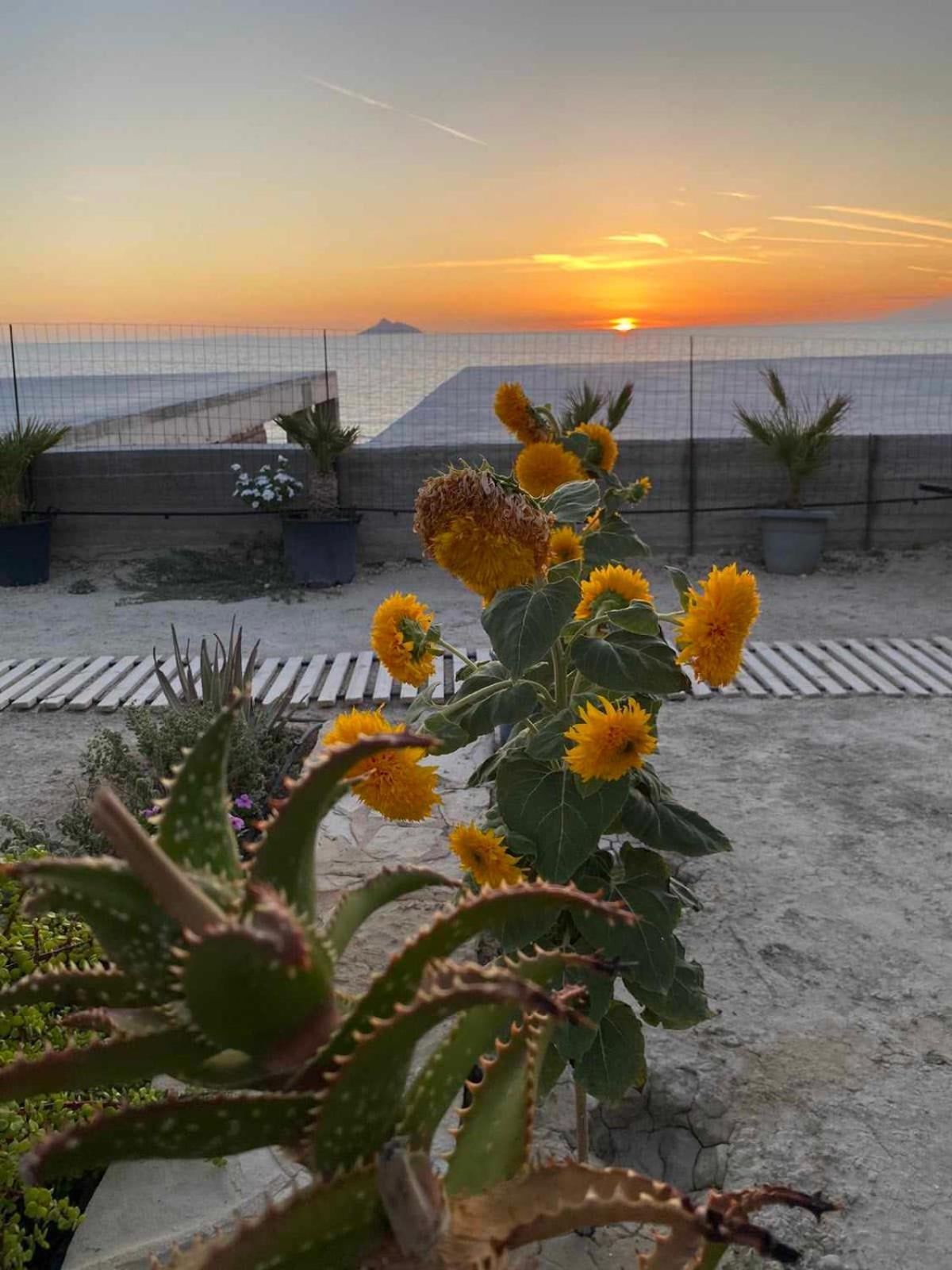 Korali House Villa Kalamaki  Bagian luar foto